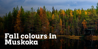 Fall Colours in Muskoka